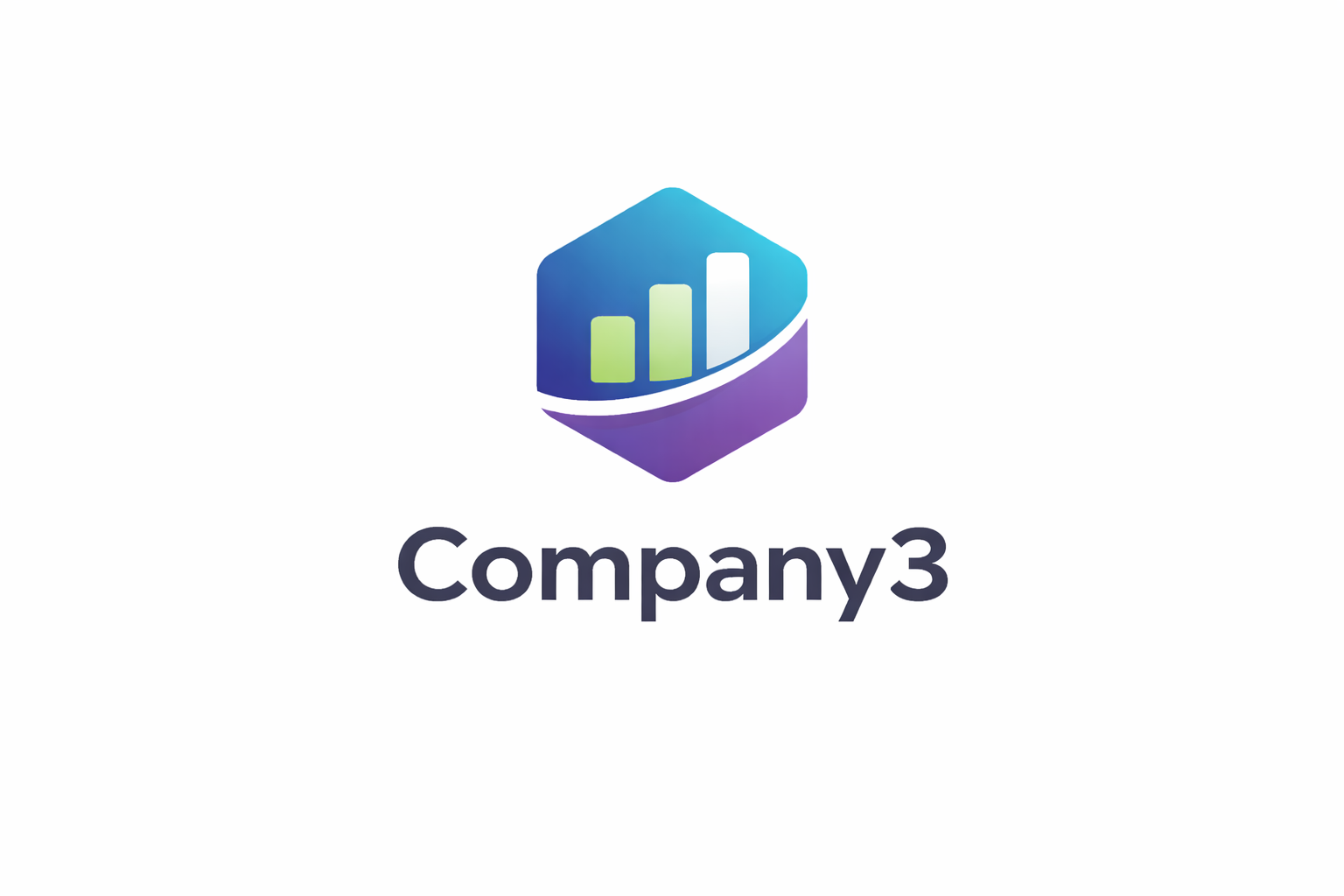 Company 3